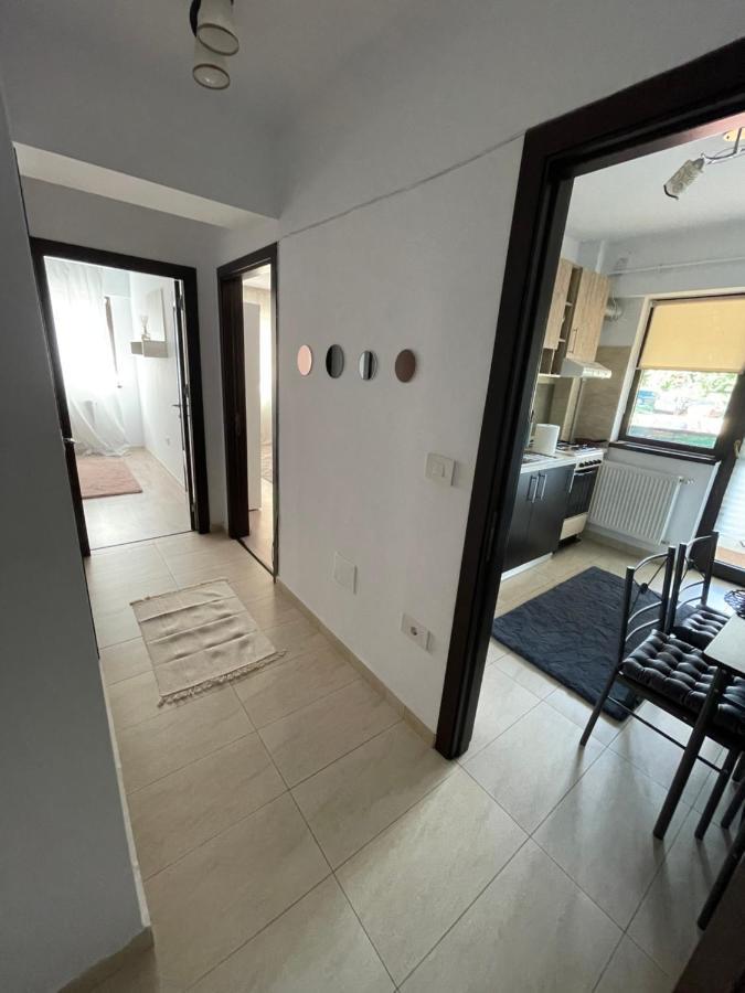 Apartmán The Mirror - Quiet & Friendly Place In Copou Iasi Exteriér fotografie